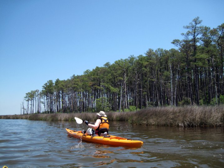 20130615_1311_Paddling down the pine hammock
